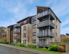 HAMMERMAN DRIVE 11 224683