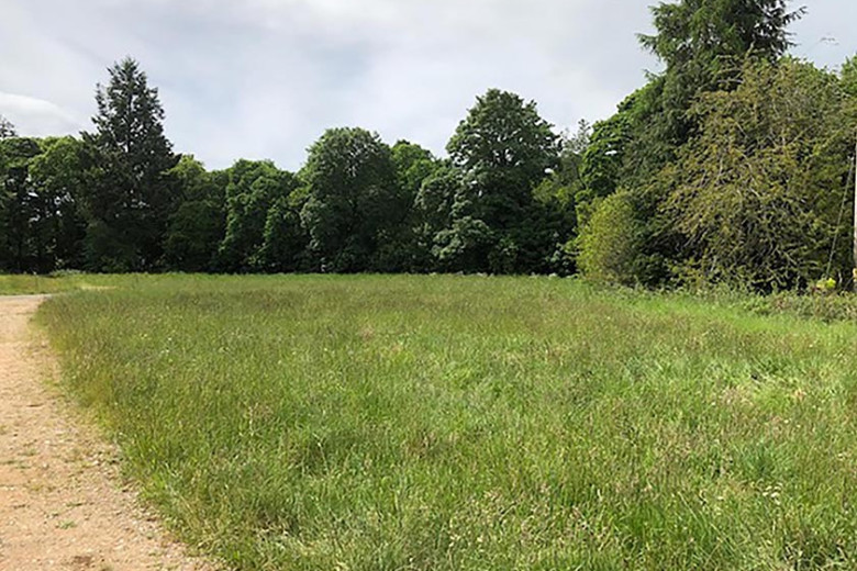 Plot 5, The Paddocks, Dee Street, Banchory Mackinnons Solicitors