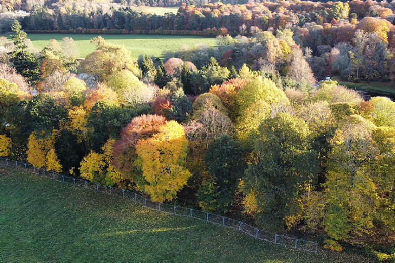 Plot 2, The Paddocks, Dee Street, Banchory Mackinnons Solicitors